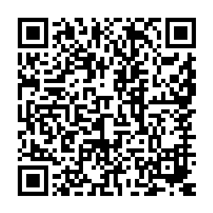 不过凌菲还是又非常不客气的跟龙战要了块稍微薄些又透气的小块兽皮二维码生成
