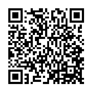 不过出乎意外的是古燕玲竟然和双剑皇王一斗的旗鼓相当二维码生成