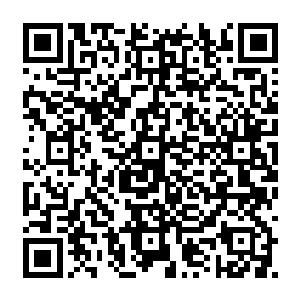 不过刚刚被定王毫不留情的打了耳光的众人在还没商议出对策来之前也不敢多说什么二维码生成