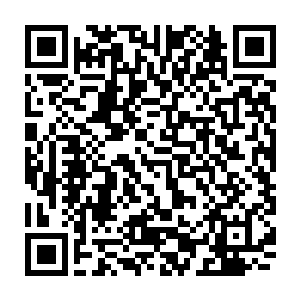 不过刚想问就看到离着自己的最近的多米尼克的脑门上起了一层细小的汗珠二维码生成