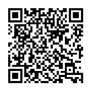 不过刚才我靠近你的时候已经将连通你食道的管子给破坏了二维码生成