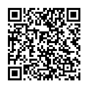 不过南门大军总归是在无量大师手下修行了几个月的二维码生成