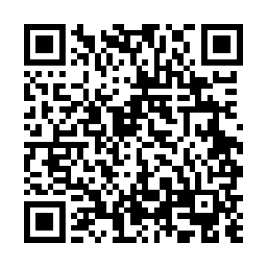 不过却看到不远处那位先倒在地上的罗双飞伸了个懒腰二维码生成