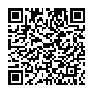 不过取而代之的杨戬的第二元神却光芒一下子黯淡了不少二维码生成