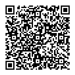 不过只看这条目却让尼尔斯意识到或者眼前这个其貌不扬的华夏人或许真的能够重演整个宇宙的轮回过程二维码生成