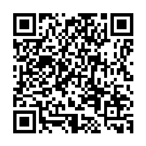 不过可惜的是不论是赵融还是禹欢在捣蛋鬼的眼中都算不得美女二维码生成