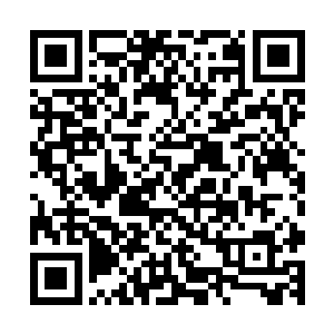 不过台下的琉羽飞几人和柳非笑几人则是了解的看向了君墨皇二维码生成