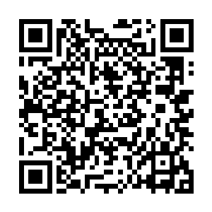 不过叶尊不记得他什么时候有得罪过尚家的重要成员了二维码生成