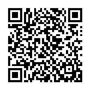 不过呢估计等你回来的时候我就要到再北一点儿的海域去捕鱼了二维码生成