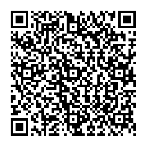 不过唯一庆幸的是这段时间击杀玩家得到的装备已经材料都被几个没有红名的小号放到仓库里二维码生成