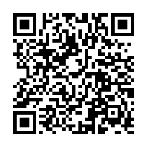 不过嗜血兽王的嗜血珠比那些血珠可不止强大了一点半点二维码生成