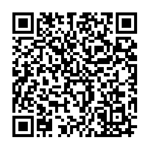 不过因为他每次比赛的时候总是喜欢在ko掉对手之后还要把对手残忍的杀害二维码生成