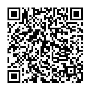 不过在京门里是该爱京门的人物哈……昨天我在后台看到秦铮的订阅号了二维码生成