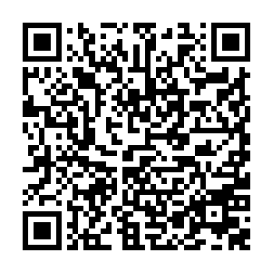 不过在人鱼妹纸们勤勉的一只只询问过那些守候在葫芦岛千里海域中的海族后二维码生成