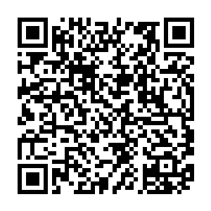 不过在他吞吃之后原本萎靡的气息顿时消失他竟是完好无损的站在风清扬身旁二维码生成