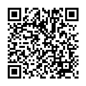 不过在叶尊的手指刚刚触碰到白色戒指的那一刻二维码生成