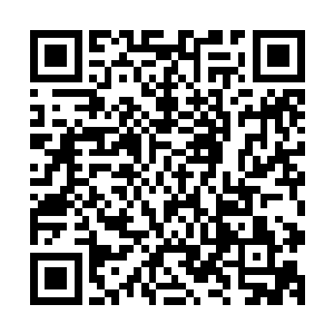 不过在同等修为的修士眼下确是将其中的战斗看的个一清二楚二维码生成