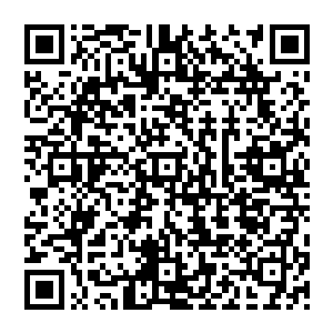 不过在惊悚乐园中系统会在保留原语言发音的前提下通过思维层面的翻译让玩家听懂各种语言二维码生成