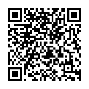 不过在杨戬的长枪跟对方手中的巨剑接触的瞬间杨戬脸色就变了二维码生成