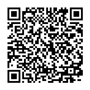不过在这荒郊野外的能够不睡硬邦邦的大地和石头已经算是很不错的了二维码生成