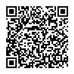 不过在这里的没有谁会把这个家伙当成是一个宠物或者一个可爱的生物二维码生成