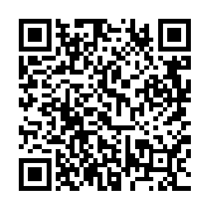 不过地府主导和最高法官还是必须由完全公正的无眠者控制二维码生成