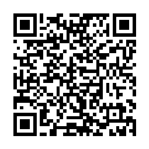 不过地狱门和阎罗殿在千年前受到血剑门的惨重打击二维码生成