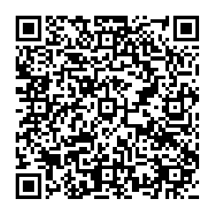 不过她在凌乱的同时却也没错过龙战在听到她的话以后瞬间柔和下来的脸和那堪称完美的微笑二维码生成