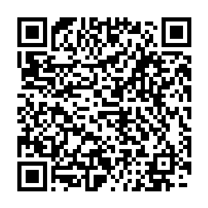 不过她当然不会觉得我一个混沌初境的对手能够给她带来什么威胁二维码生成