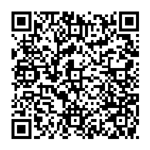 不过好在他们也基本上完成了自己的任务将下放的那些低级亡灵都已经清理干净了二维码生成
