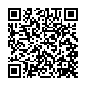 不过如果风间宁次那个小婊砸愿意给我上一次我是不介意的啦二维码生成