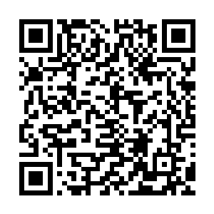 不过学生们已经按照平时练习时候的站位站在自己的位置上了二维码生成
