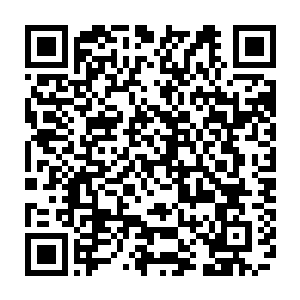 不过宁大女神第一眼看到的不是代离砍瓜切菜一剑秒了好几个君级的怒杀四方二维码生成