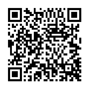 不过宋落玉可不是因为它的会冒蓝光才专门把它们抢回来的二维码生成
