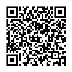 不过寒菲樱刚刚和妖孽过了一段甜蜜而奢侈的生活二维码生成