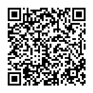 不过对于另外让樊有秋开车撞死姜婷婷爷爷的事情却咬死了不承认二维码生成