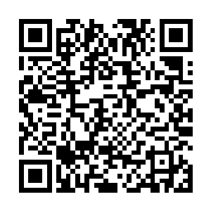 不过对于杨开此地无银三百两的做法倒也没有再去追问二维码生成