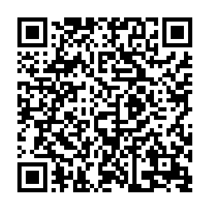 不过小太妹看了一眼整个椰子被扔到了自己的面前立刻表现出了不屑一顾的样子二维码生成