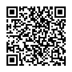 不过就在夏嫣然经过其中的某一间单独的重症监护病房的时候二维码生成