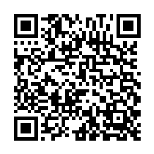 不过就在森阳仙帝在心中纠结要不要主动让出位置时二维码生成