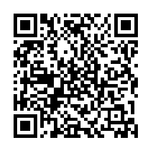 不过就在这时候我忽然看到了原本塞在枕头下面的笔记本二维码生成