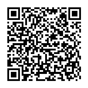 不过就是展示了一下一万年前巨灵界的景况以及兵主在此留字的经过二维码生成