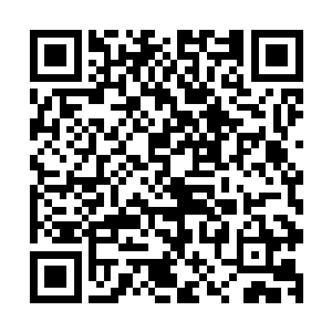 不过就算是这样从结界上面也是传来了一阵阵强烈的能量波动二维码生成