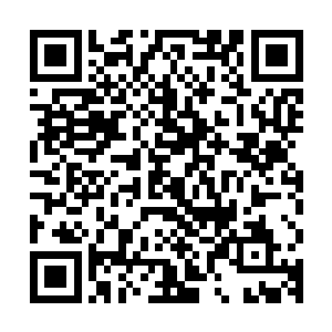 不过居然意外地找到了他的小叔叔盛世全给周承宗记的病历册子二维码生成