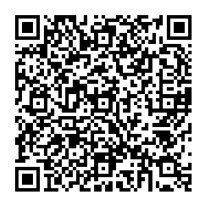 不过己经算是不错了第一次到了大西洋上就有这样的成绩杰德也算是证明了自己是位有实力的金枪鱼夫二维码生成