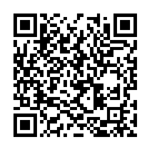 不过幸好我们组织已经准备了大量的解析巫术模版二维码生成