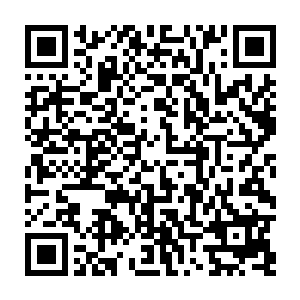 不过当初在我还没有出事的时候那个小家伙不过是才刚刚畜生没有多久罢了二维码生成