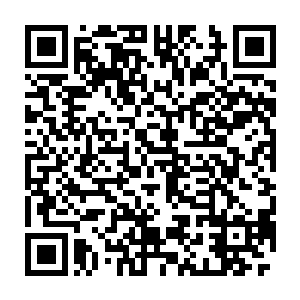 不过当时本座正在修炼关头而且一个不到仙王的蝼蚁便是没有在意二维码生成