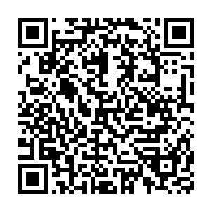 不过当李小夕的视线扫到自己李爷爷和孙爷爷两人脸上的无奈表情十二维码生成