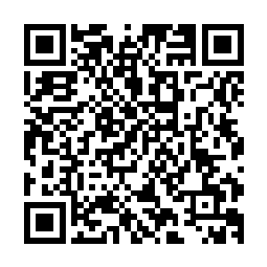 不过当琥珀这看似攻击非常强大的一击砍在金毛虎王的身上时二维码生成